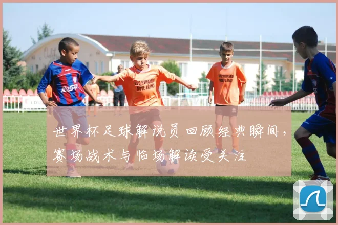 世界杯足球解说员回顾经典瞬间,赛场战术与临场解读受关注