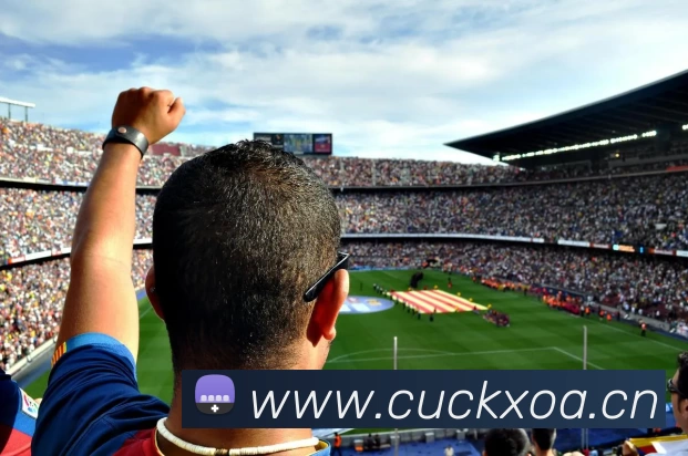 2018世界杯官网品牌故事